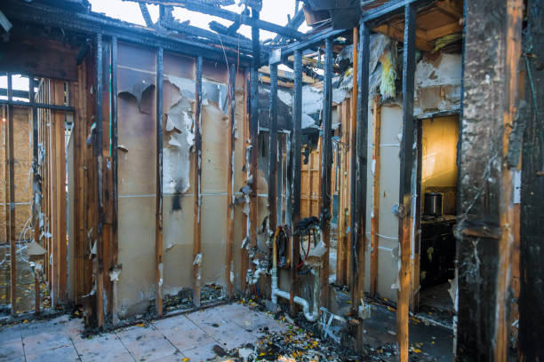 Professional Fire Damage Removal technician working in Terre Haute, IN